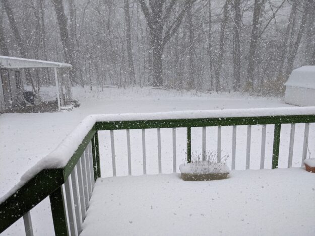 Spring snow covers the deck and yard