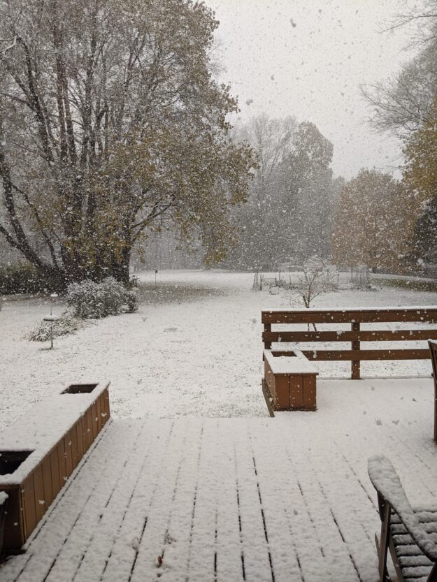 snow covered deck and yard